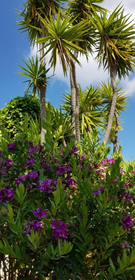 Villa Quinta Da Violeta Loulé Dış mekan fotoğraf
